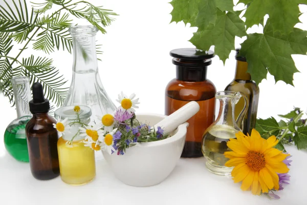 fitoterapia y medicina natural